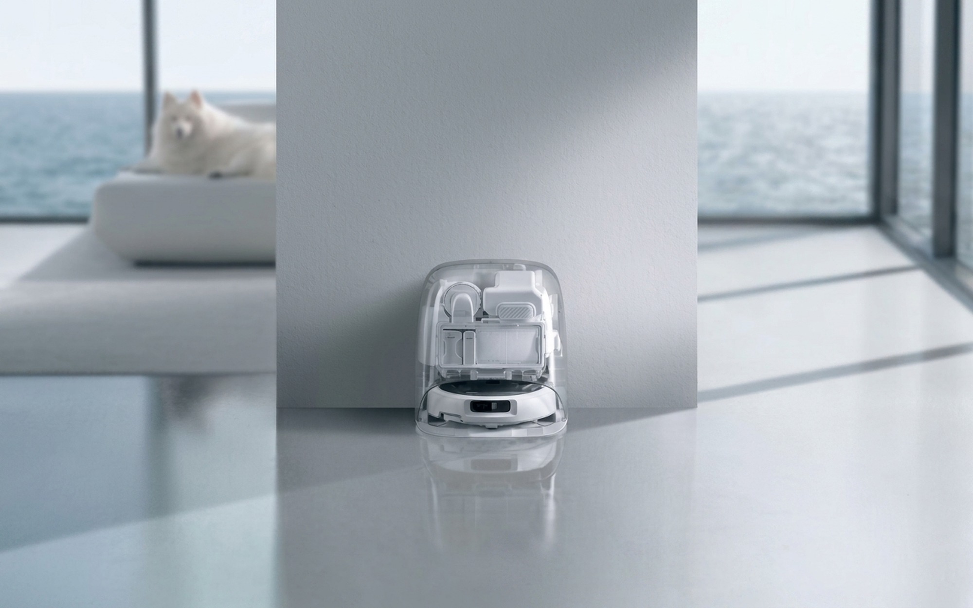 DJI ROMO P2 robot vacuum docked in its transparent self-cleaning base station against a white wall in a modern living room with a white dog on the sofa in the background